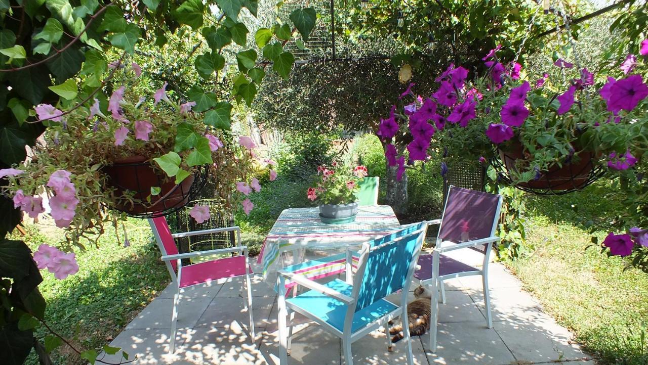 La Maison Sous L'Olivier Villa Morieres-les-Avignon Dış mekan fotoğraf