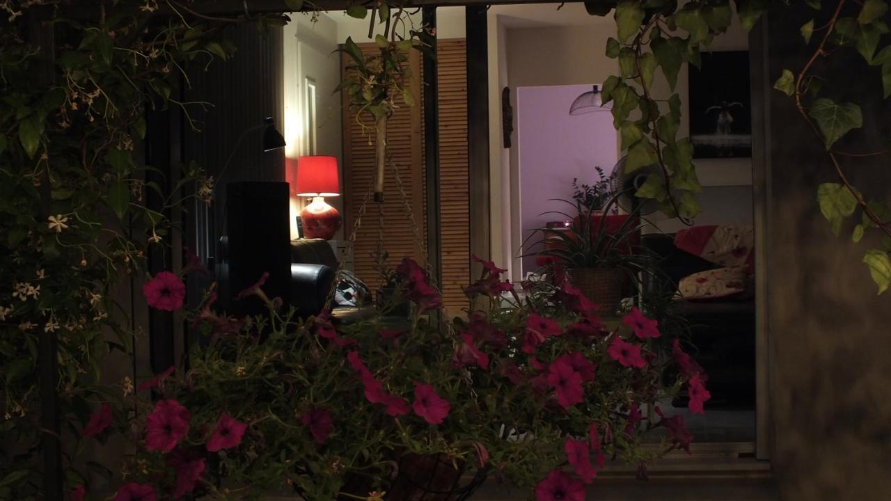 La Maison Sous L'Olivier Villa Morieres-les-Avignon Dış mekan fotoğraf