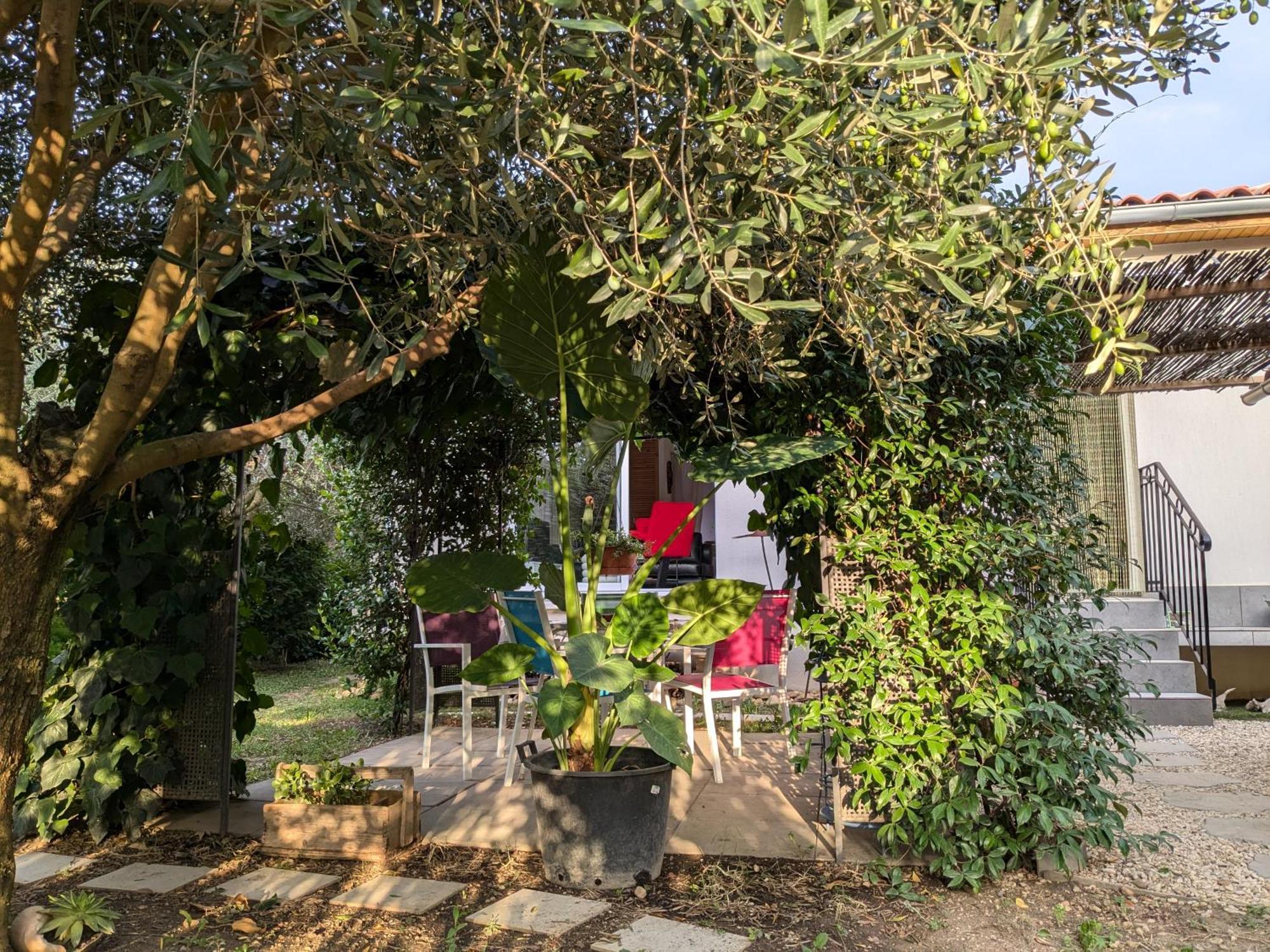 La Maison Sous L'Olivier Villa Morieres-les-Avignon Dış mekan fotoğraf